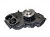 Water Pump:422 200 12 01