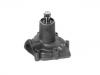 Water Pump:1314406