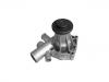 Water Pump:162-060-702-401