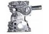 Oil Pump:1130235010